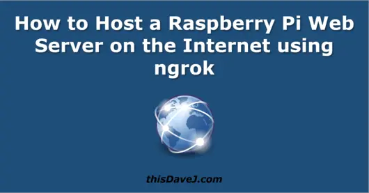 Raspberry Pi ngrok